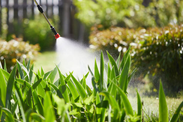 24/7 Emergency Ant Control experts in Rockville, MD