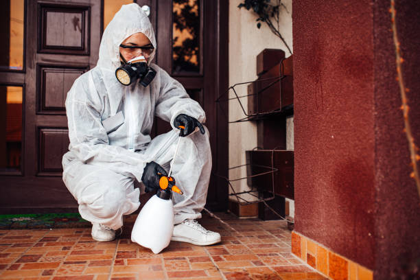 Reliable Ant Control contractor in Rockville, MD by Nex Pest Control