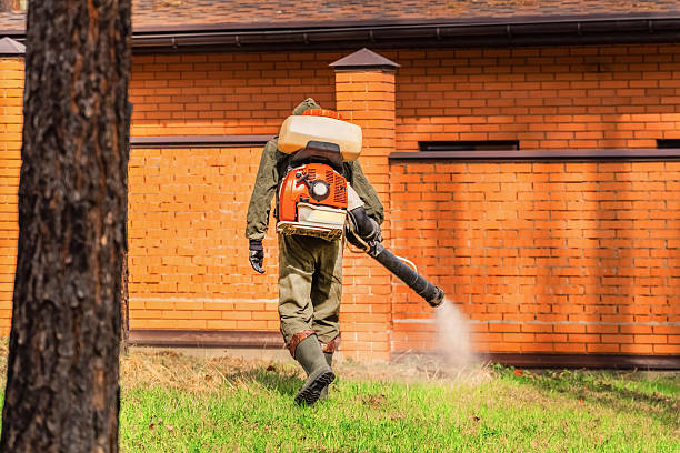 Trusted Ant Control service in Rockville, MD - Nex Pest Control